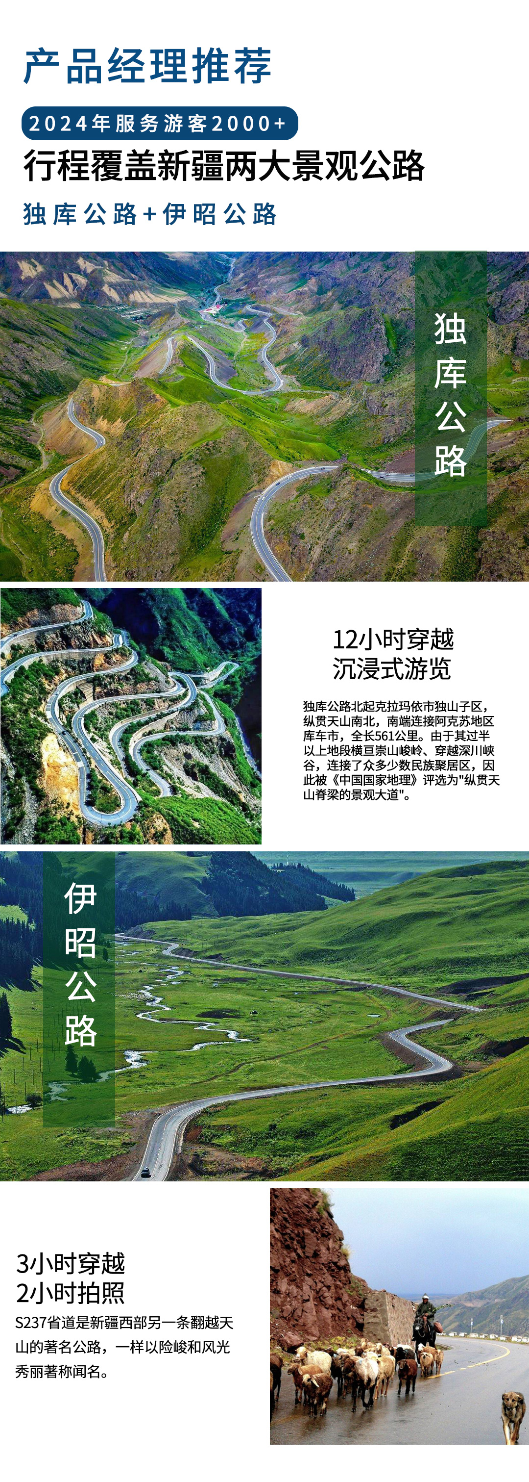 2025獨伊無二詳情圖_04